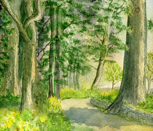 Watercolour