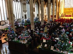 Mancroft tree fest