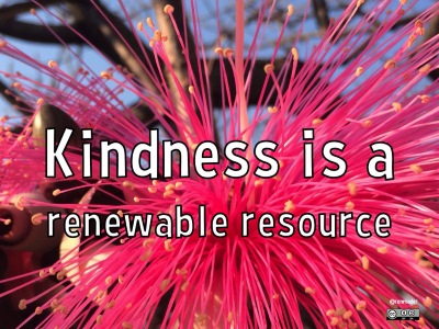 kindness 400AT