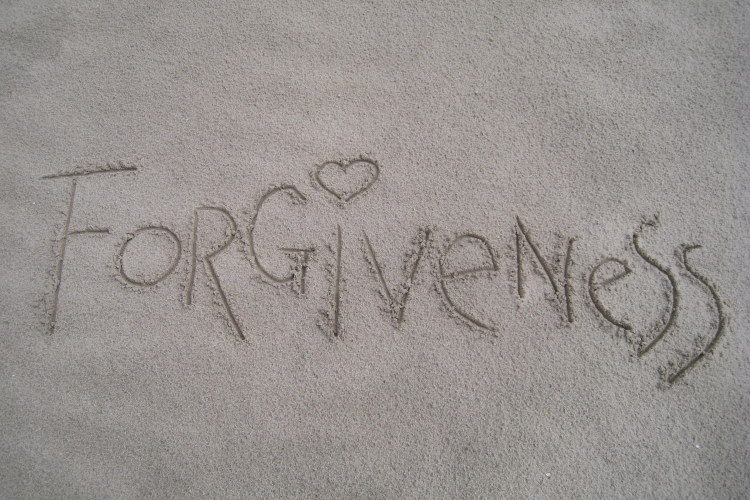 forgiveness 750pb