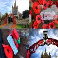 Remembrance poppies cover West Norfolk church