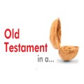 Old Testament in a nutshell session in Stalham