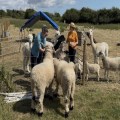 Animals reaching out at thriving Pakefield mission
