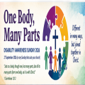 One Body, Many Parts
