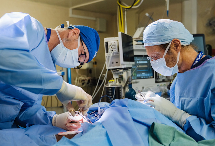 Norfolk surgeons transforming lives on in floating hospitals