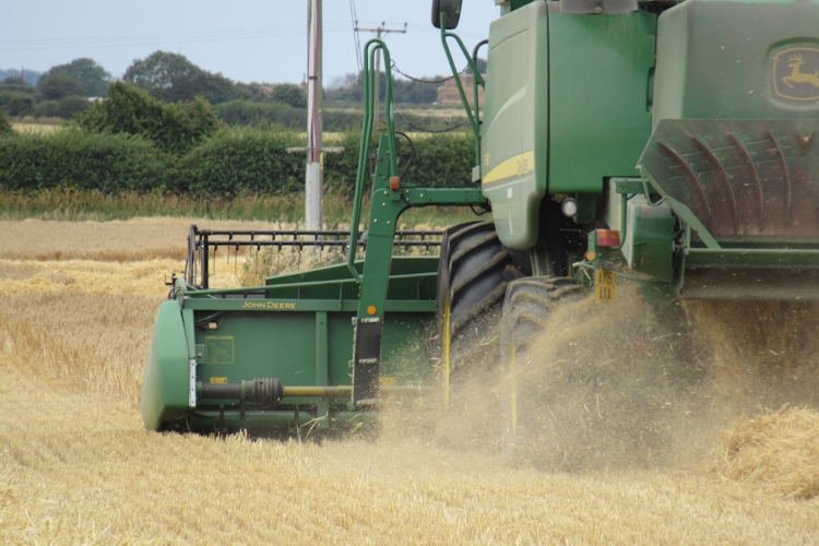 Give humble thanks for God’s harvest provision
